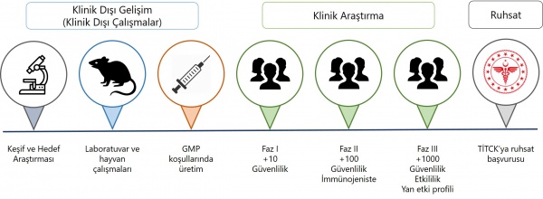 AŞI GELİŞTİRME SÜRECİNDE TİTCK