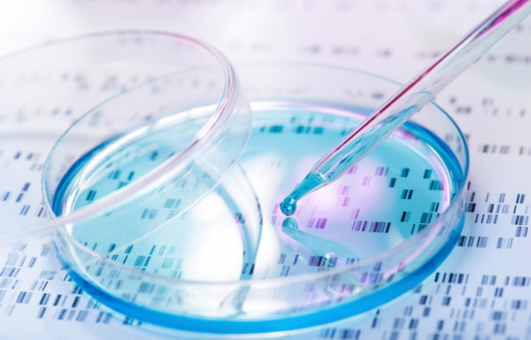 Gen Düzenleme Teknolojisi Kullanılarak Yeni Bir Kanser Tedavisi Geliştirildi