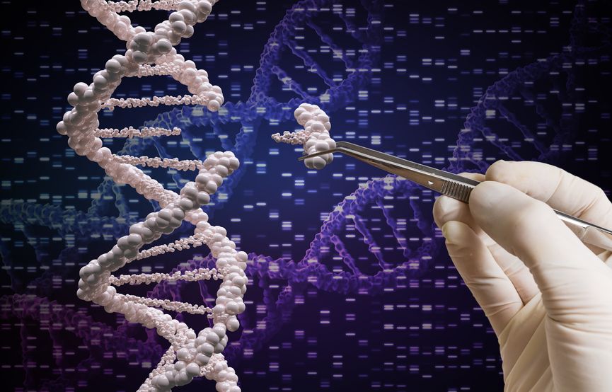 Küresel CRISPR Genom Düzenleme Pazarı 2024’te 4,3 Milyar Dolara Ulaşacak